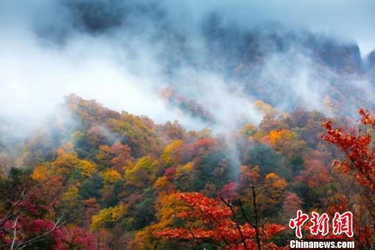 四川南江光雾山：开发与保护并重