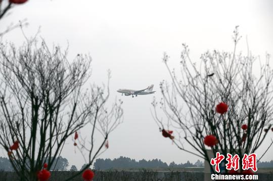 从云华新村看到的客机降落画面。　王磊 摄